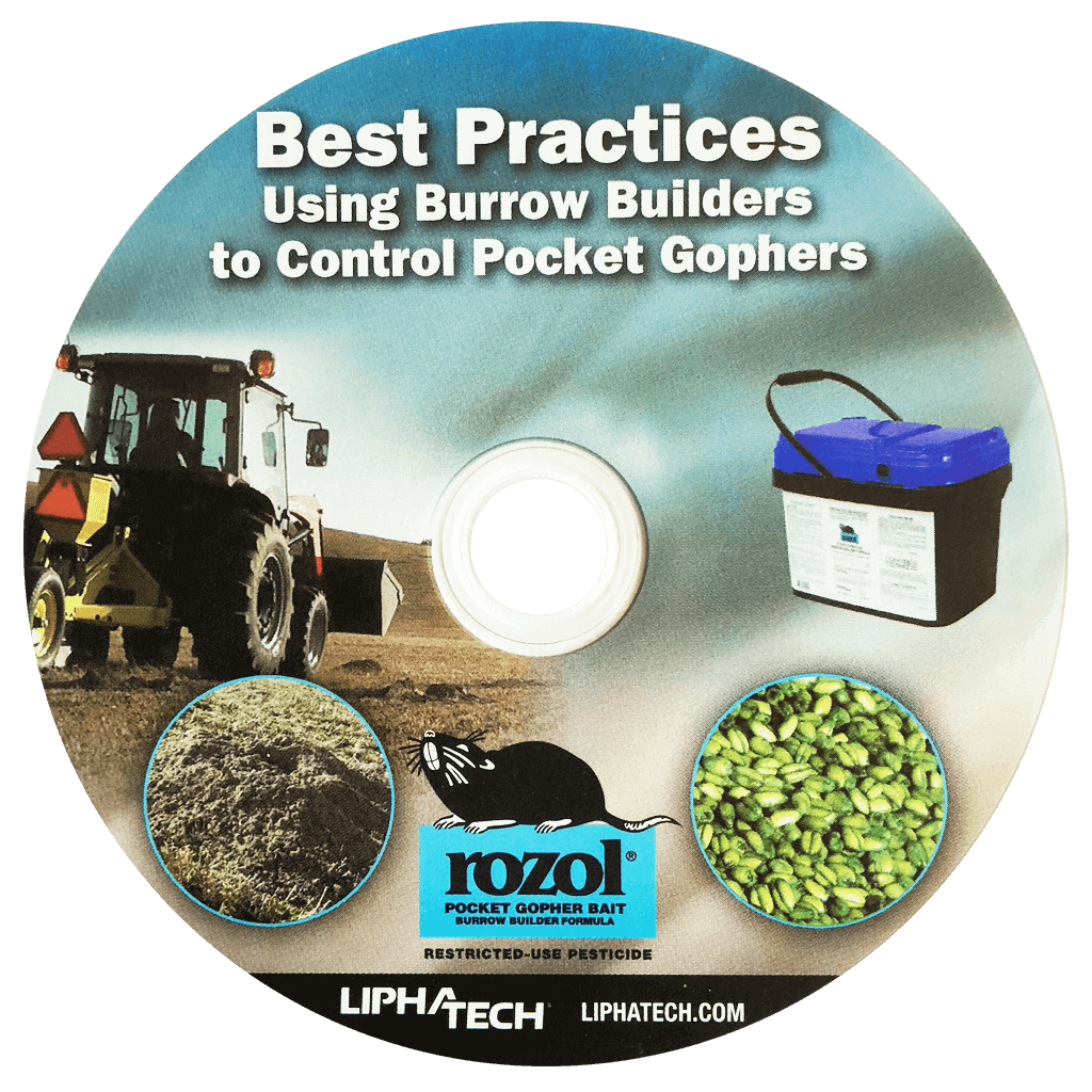 Best Practice DVD