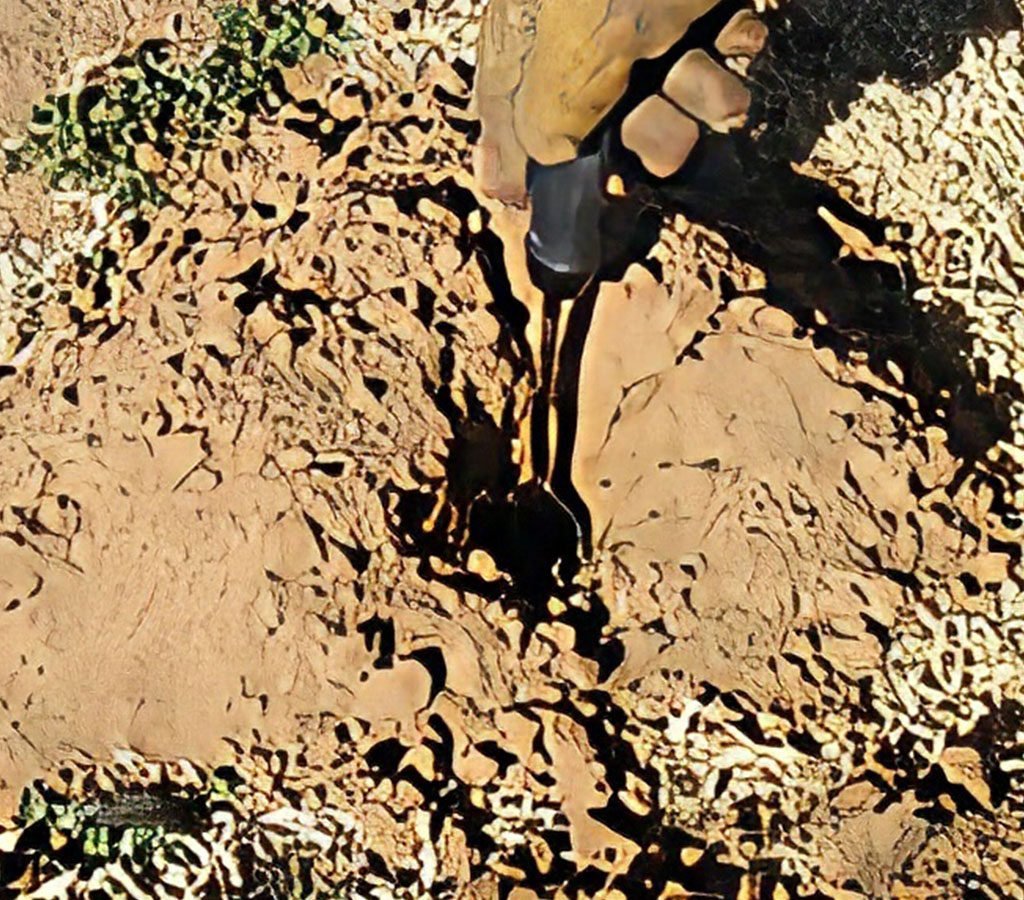 Pocket Gopher Damage Mounds