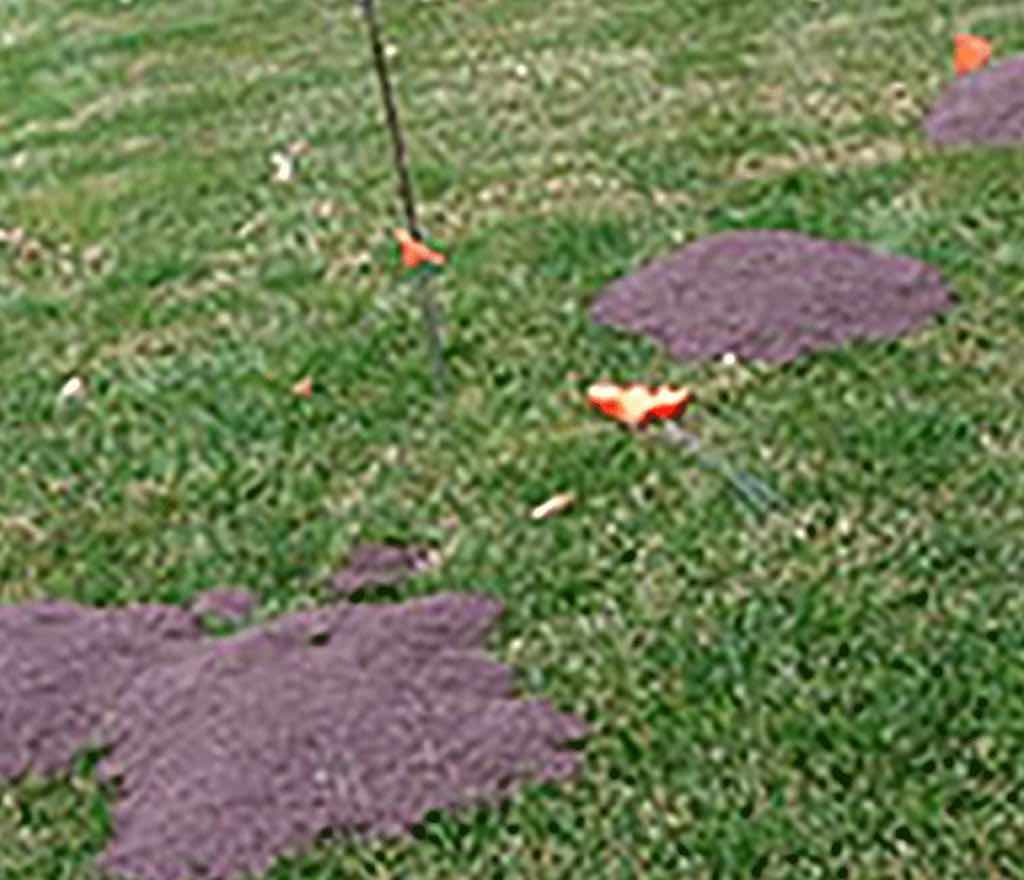 Pocket Gopher Damage-Mounds