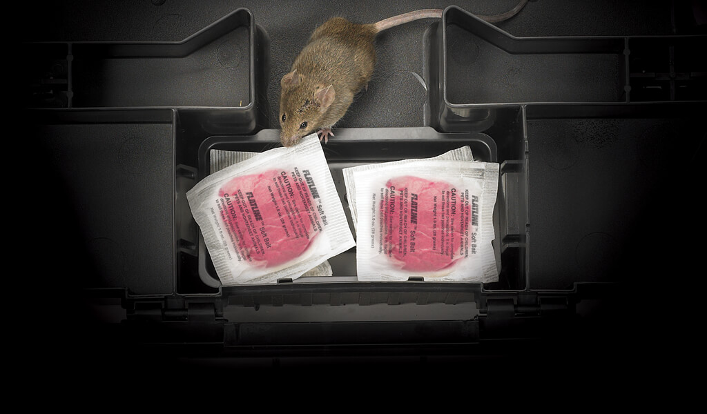 Flatline Soft Bait Liphatech