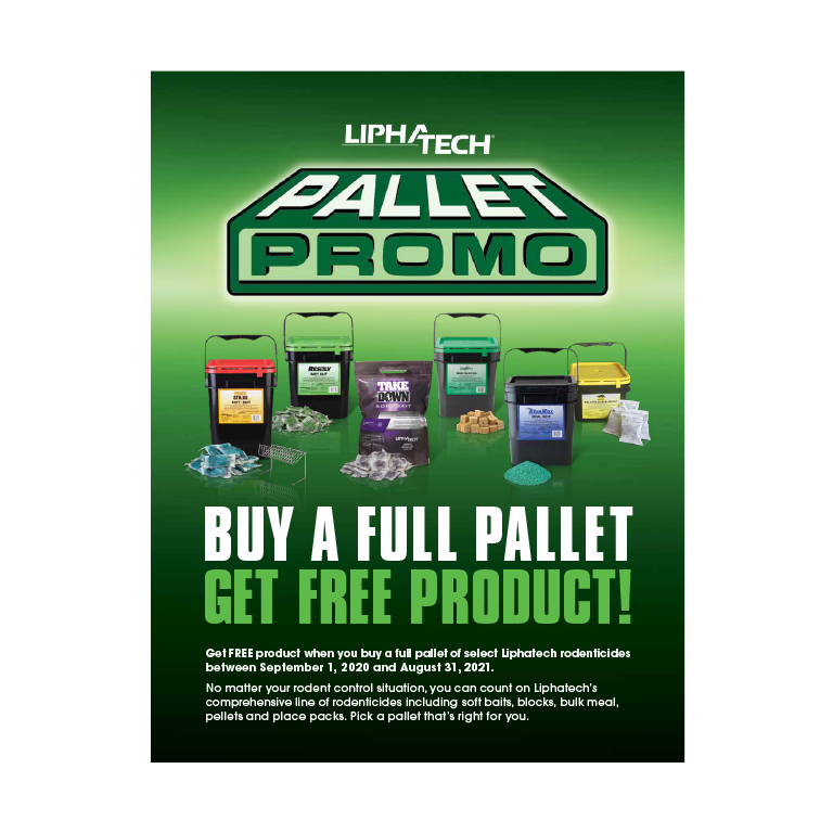 Structural Pest Control