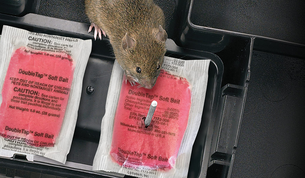 liphatech rat and mouse attractant